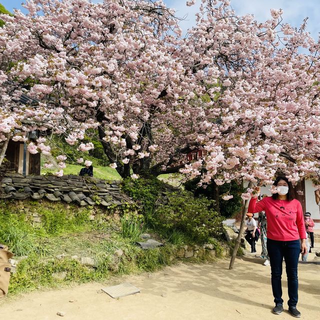 개심사 