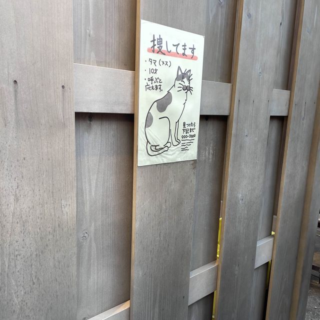 銭天堂　ザ・リアル