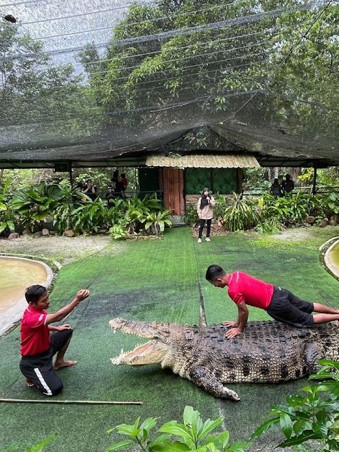 Crocodile Adventureland Langkawi 🐊✨