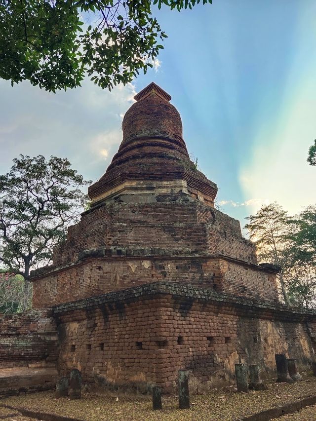 วัดนาควัชรโสภณ (วัดช้าง)