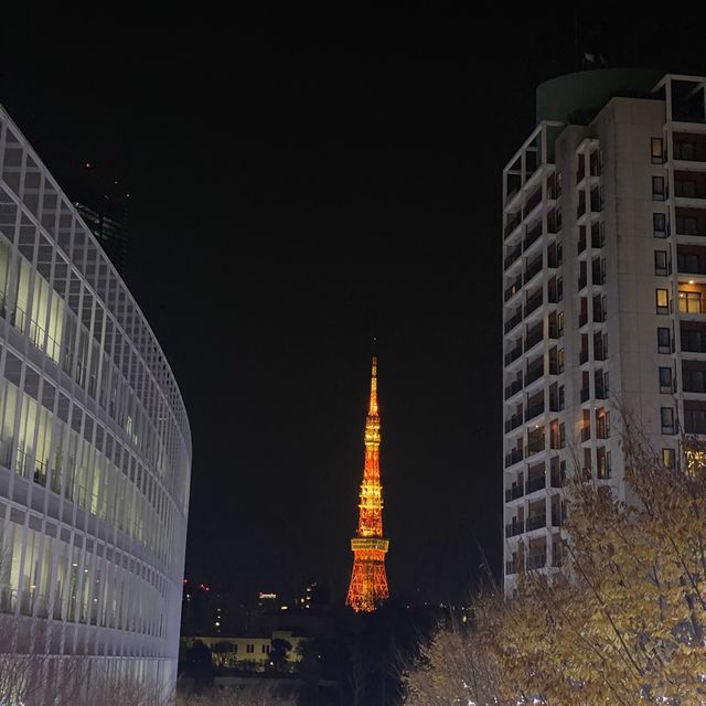 東京聖誕必去打卡位 六本木櫸木坂通