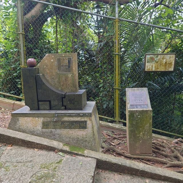 首里金城石畳道「真珠道」