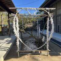 2023年は卯年！白兎神社への参拝