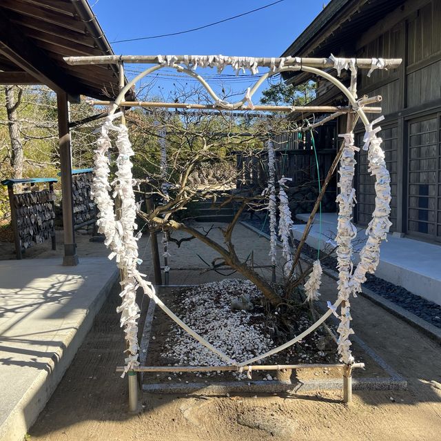 2023年は卯年！白兎神社への参拝
