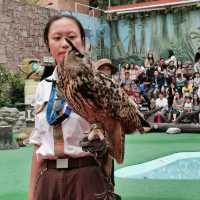 集體回憶海洋公園