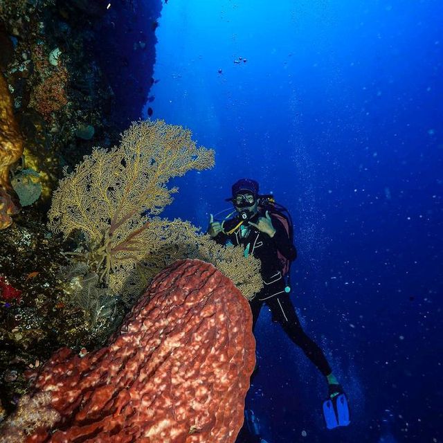BUNAKEN MARINE PARK, MANADO