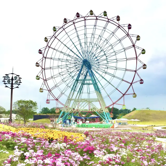 【福岡】海の中道海浜公園へ花を見に行こう🌷