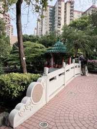💕拖手漫步於荔枝角公園 👫