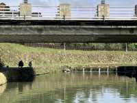 內湖晨跑去～沿著東湖樂活公園、內溝溪、白馬山莊回返