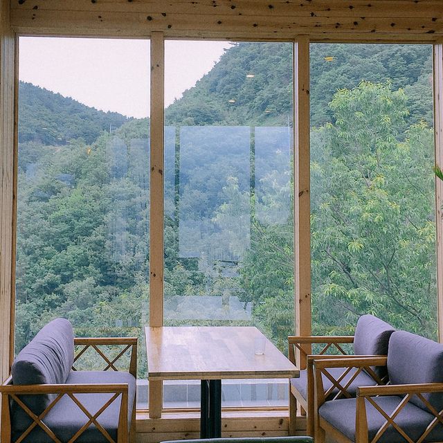 부산 탁 트인 숲속 뷰가 환상적인 “Blue Mountain”⛰