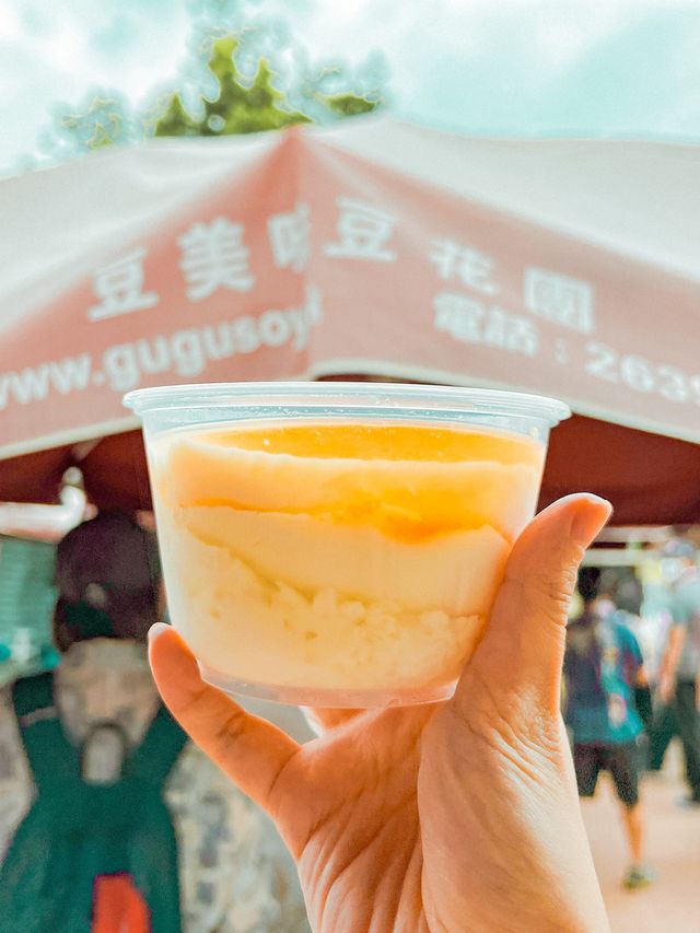 春季旅行 |天水圍至上水單車心得