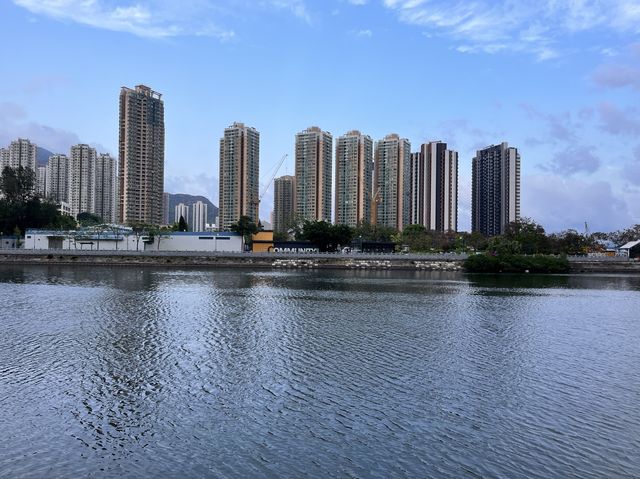 平靜的擁抱怒與哀樂