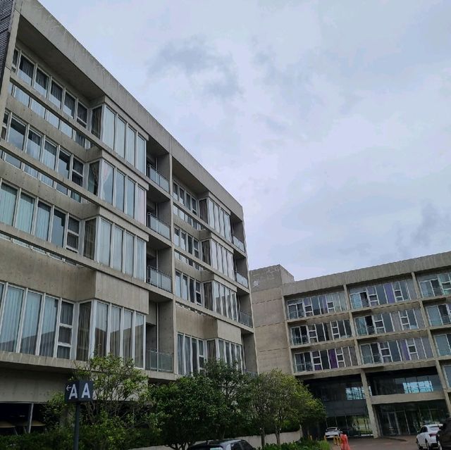 휘닉스 제주 섭지 코지