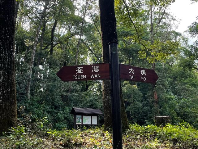 唔會沉悶既行山徑～