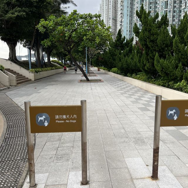 屯門休憩釣魚好去處👍