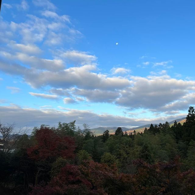 九州旅行必體驗的由布院溫泉😍😍