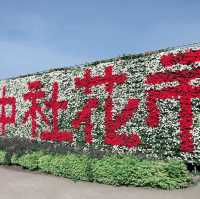 一年四季都能賞花的勝地