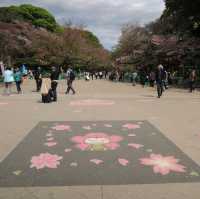 賞櫻熱點🌸🌸🌸
