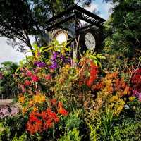 National Orchid Garden, a UNESCO Heritage