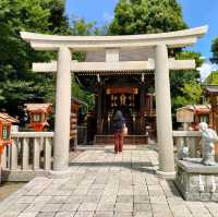 【京都 祇園】八坂神社さんの縁結び🌸⛩️