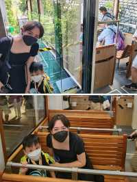 第六大山頂纜車通車 再去淩霄閣和山頂廣場打卡
