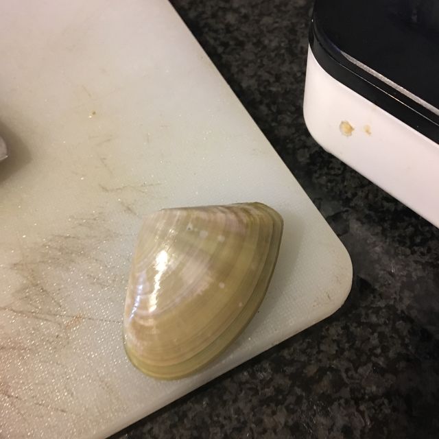 全世界數一數二的沙灘