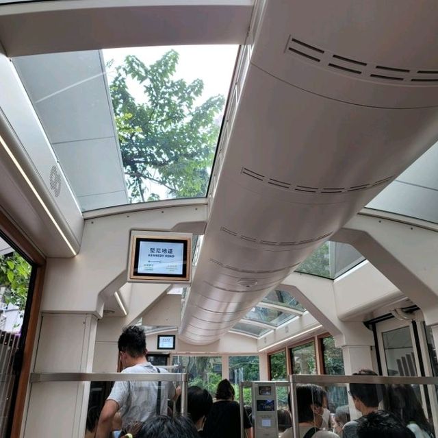 充滿香港特色的交通方式🚎