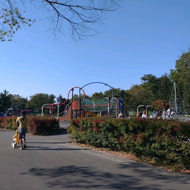百合が原公園で小さい秋みーつけた