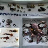 제주시 제주민속자연사박물관 추천해요⭐️