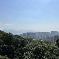 藍地水塘