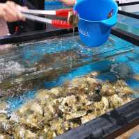 超新鮮！ 自選活海鮮蒸氣火鍋