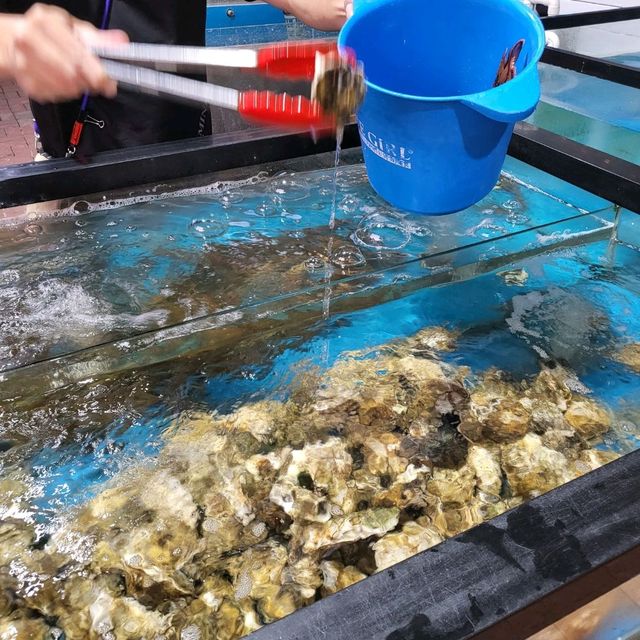 超新鮮！ 自選活海鮮蒸氣火鍋