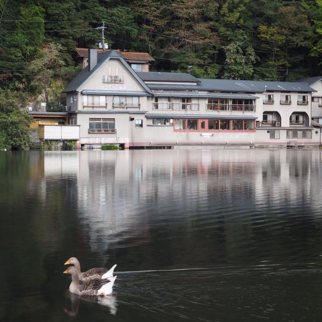 湯布院❤️此生必去九州景點‼️古色古香小店