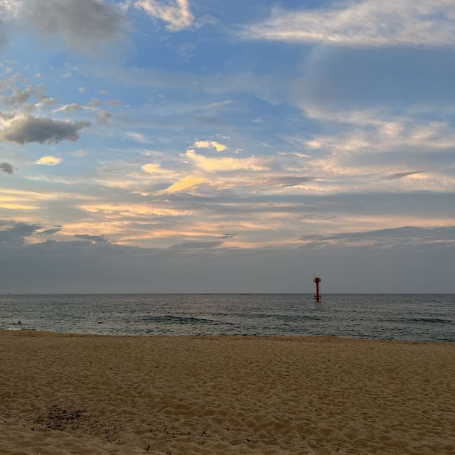 한적한 동해바다가 보고싶다구? 🌊 강원도 고성 <봉포해변>