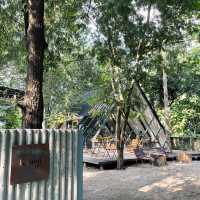 🪵KASEM cafe @Lampang