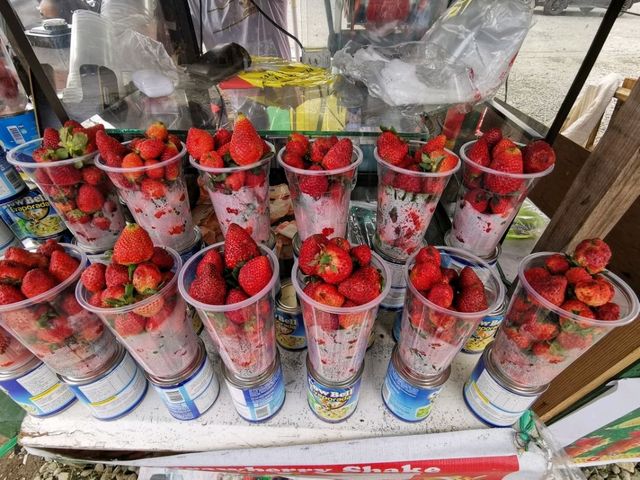Strawberry Farm! 