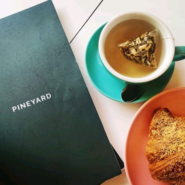 云顶山脚大自然松树林喝咖啡 Pineyard Cafe