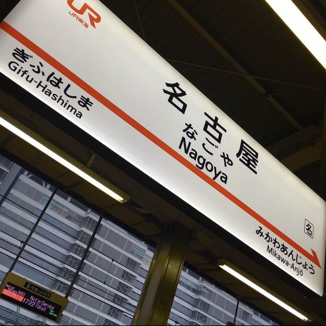【名古屋名物！手羽先食べ比べ】愛知県/名古屋