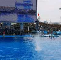 พิพิธภัณฑ์สัตว์น้ำท่าเรือนาโกย่า
