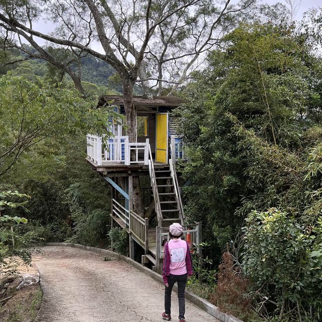 哈比丘森林