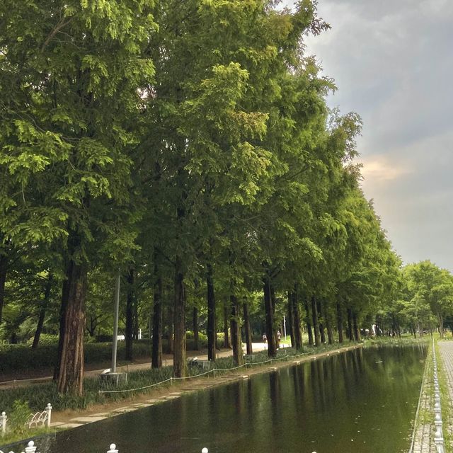 도심 속 자연이 가득한 힐링공간🌲