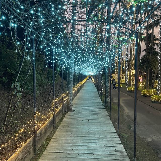 東南植物楽園のイルミネーション