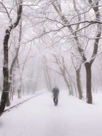 제주 눈 올때 갈만한 코스! 윗세오름 등반 ❄️