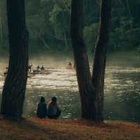 ปางอุ๋ง จ.แม่ฮ่องสอน 🌲🦢