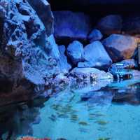 Aquaria KLCC