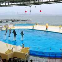 福岡親子遊：去水族館