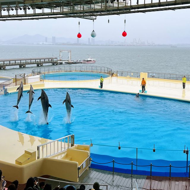 福岡親子遊：去水族館