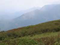 Meghamalai - Wavy mountains 
