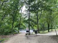 Indiana Dunes State Park 