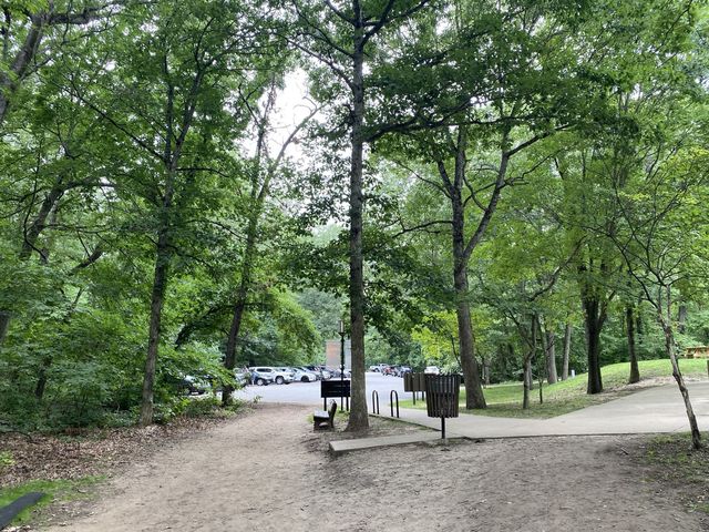 Indiana Dunes State Park 